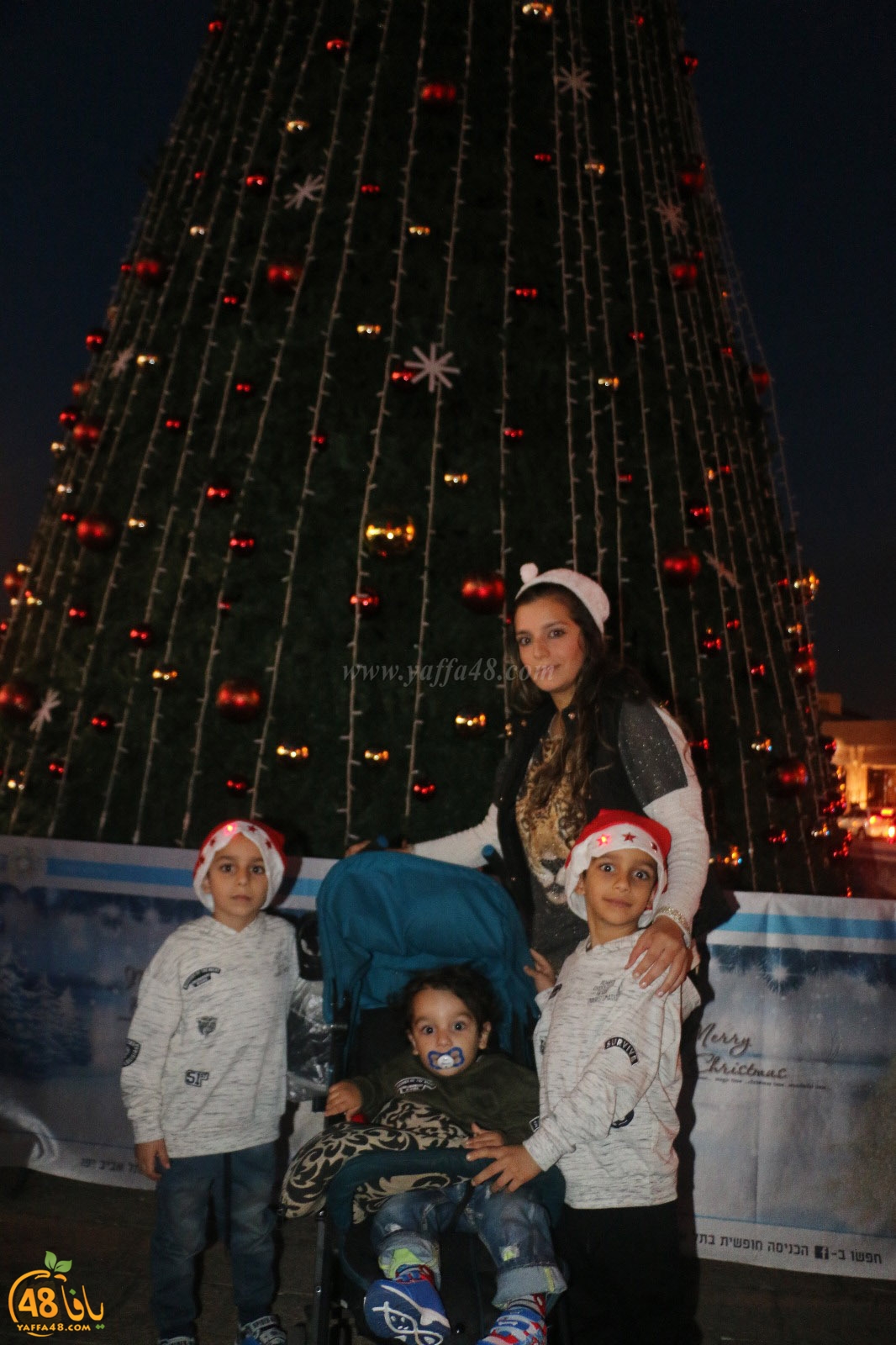 tree yaffa 5th (8).jpg